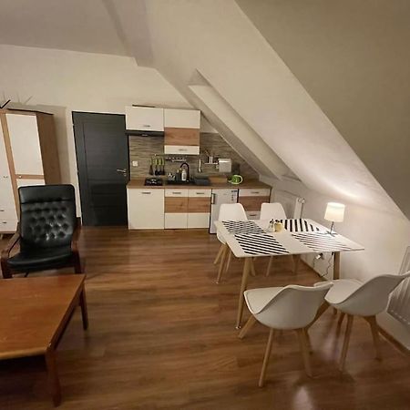 Francis Apartment - Lazenske Centrum Karlowe Wary Zewnętrze zdjęcie