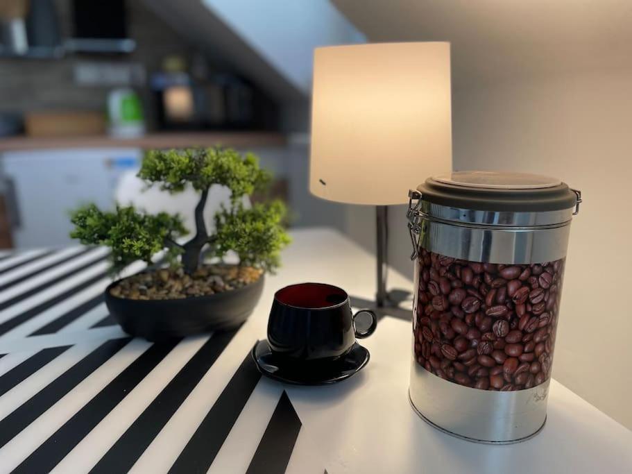 Francis Apartment - Lazenske Centrum Karlowe Wary Zewnętrze zdjęcie