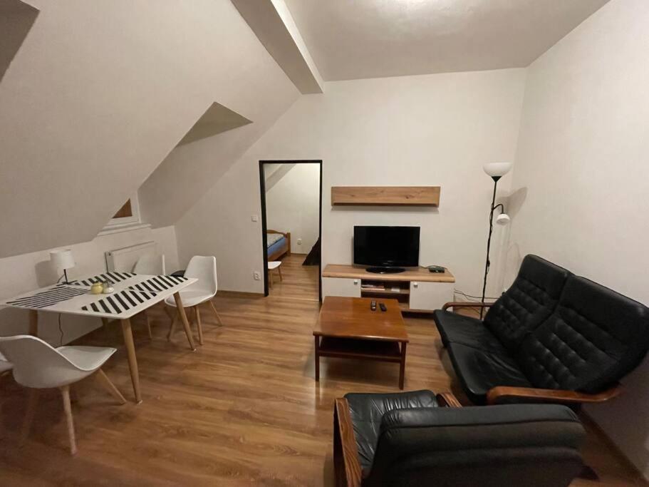 Francis Apartment - Lazenske Centrum Karlowe Wary Zewnętrze zdjęcie
