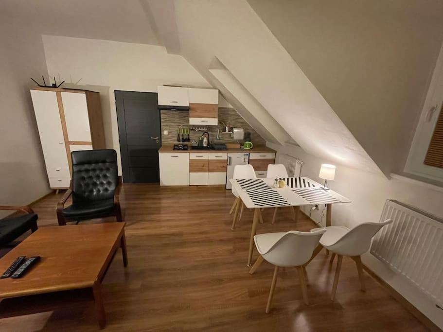 Francis Apartment - Lazenske Centrum Karlowe Wary Zewnętrze zdjęcie